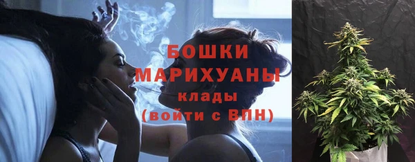 прущие грибы Навашино