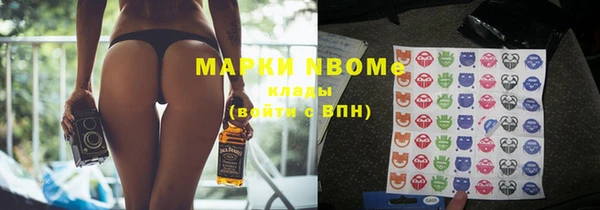 крисы Надым