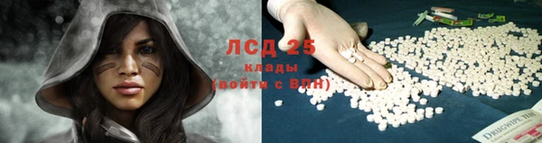 крисы Надым