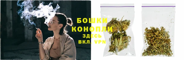 крисы Надым