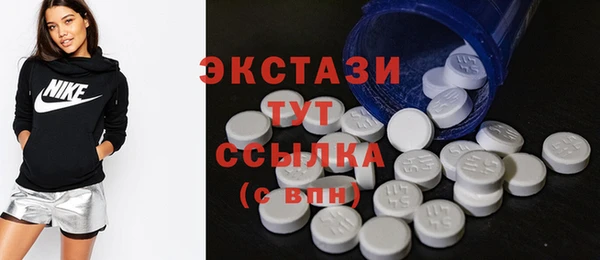 крисы Надым