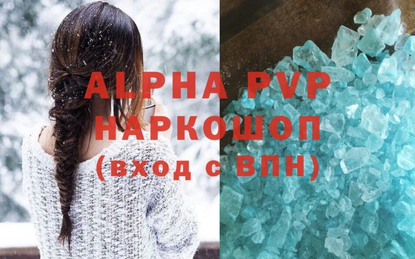 крисы Надым