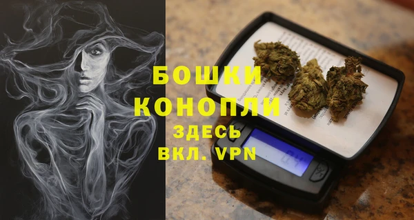 прущие грибы Навашино