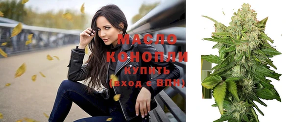 крисы Надым