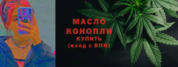 крисы Надым