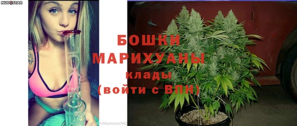 прущие грибы Навашино