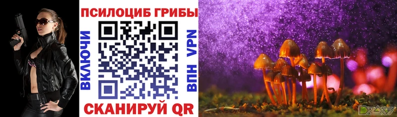 блэк спрут сайт  Салават  Галлюциногенные грибы Magic Shrooms 