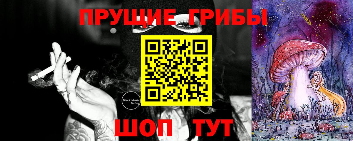купить   Псилоцибиновые грибы Psilocybine cubensis  Вход с VPN  Салават 