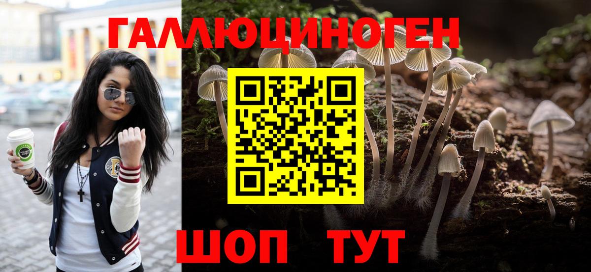 Псилоцибиновые грибы Psilocybine cubensis Салават